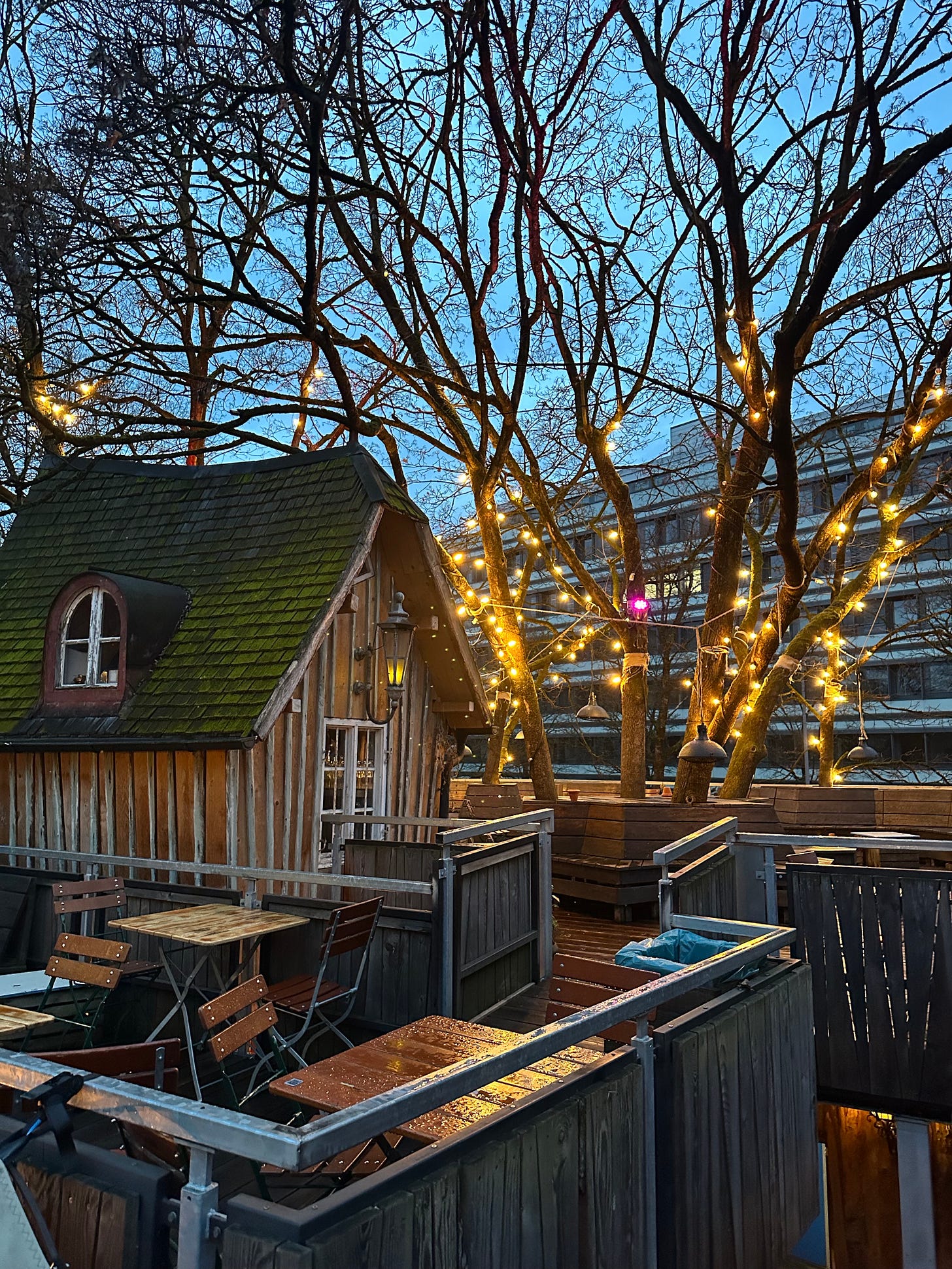 A cozy wooden structure with a green mossy roof is surrounded by bare trees and warm string lights at dusk.